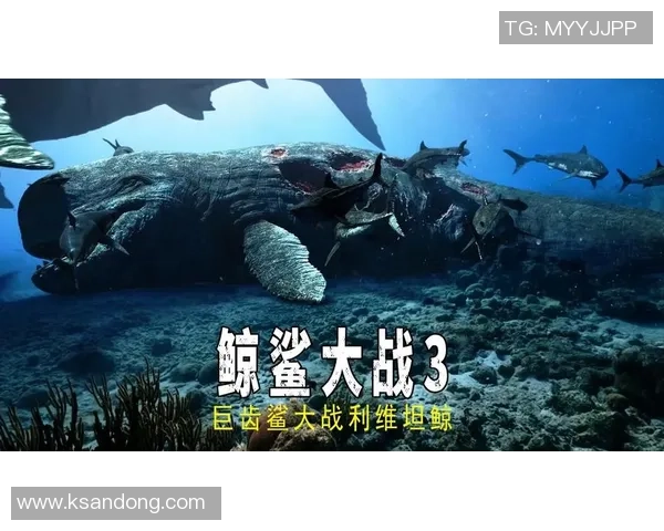 富山松鸡与横滨海盗的精彩对决谁能在赛场上笑到最后